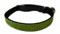 Glitter Cat Collar